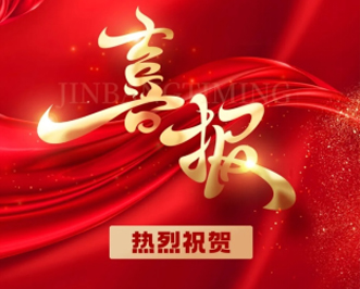 喜报|尊龙凯时汽车荣登2024中国民营汽车流通行业百强榜、社会责任百强榜